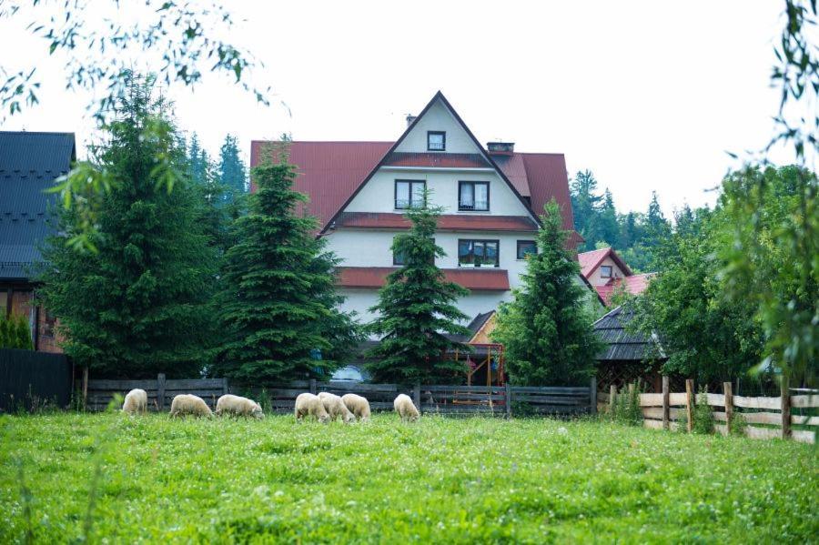Osrodek Wczasowo-Kolonijny Gron Bed and Breakfast Biały Dunajec Exteriör bild